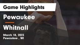 Pewaukee  vs Whitnall  Game Highlights - March 18, 2023