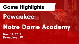 Pewaukee  vs Notre Dame Academy Game Highlights - Nov. 17, 2018