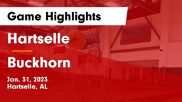 Hartselle  vs Buckhorn  Game Highlights - Jan. 31, 2023