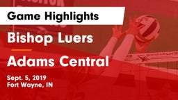 Bishop Luers  vs Adams Central  Game Highlights - Sept. 5, 2019