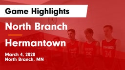 North Branch  vs Hermantown  Game Highlights - March 4, 2020