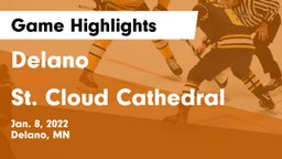 Delano  vs St. Cloud Cathedral  Game Highlights - Jan. 8, 2022