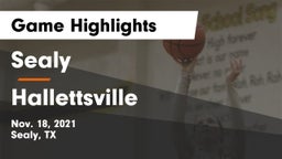 Sealy  vs Hallettsville  Game Highlights - Nov. 18, 2021
