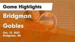 Bridgman  vs Gobles  Game Highlights - Oct. 13, 2022
