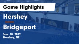 Hershey  vs Bridgeport  Game Highlights - Jan. 18, 2019