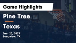 Pine Tree  vs Texas  Game Highlights - Jan. 20, 2023