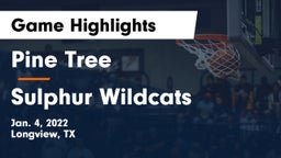 Pine Tree  vs Sulphur Wildcats  Game Highlights - Jan. 4, 2022