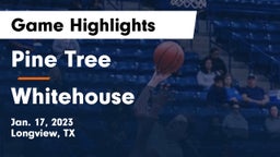 Pine Tree  vs Whitehouse  Game Highlights - Jan. 17, 2023