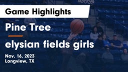 Pine Tree  vs elysian fields girls Game Highlights - Nov. 16, 2023