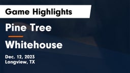 Pine Tree  vs Whitehouse  Game Highlights - Dec. 12, 2023