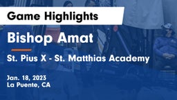 Bishop Amat  vs St. Pius X - St. Matthias Academy Game Highlights - Jan. 18, 2023