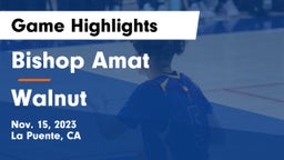 Bishop Amat  vs Walnut  Game Highlights - Nov. 15, 2023