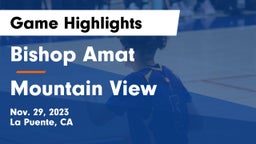 Bishop Amat  vs Mountain View  Game Highlights - Nov. 29, 2023