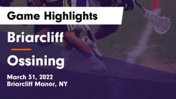 Briarcliff  vs Ossining  Game Highlights - March 31, 2022