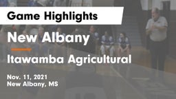 New Albany  vs Itawamba Agricultural  Game Highlights - Nov. 11, 2021
