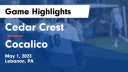 Cedar Crest  vs Cocalico  Game Highlights - May 1, 2023