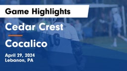 Cedar Crest  vs Cocalico  Game Highlights - April 29, 2024