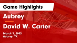 Aubrey  vs David W. Carter  Game Highlights - March 3, 2023