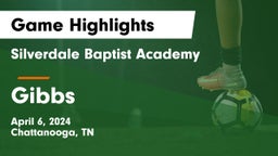 Silverdale Baptist Academy vs Gibbs  Game Highlights - April 6, 2024