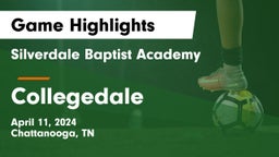 Silverdale Baptist Academy vs Collegedale Game Highlights - April 11, 2024
