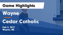 Wayne  vs Cedar Catholic  Game Highlights - Feb 3, 2017