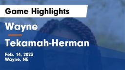Wayne  vs Tekamah-Herman  Game Highlights - Feb. 14, 2023