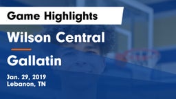 Wilson Central  vs Gallatin  Game Highlights - Jan. 29, 2019