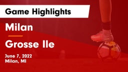 Milan  vs Grosse Ile  Game Highlights - June 7, 2022