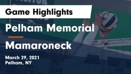 Pelham Memorial  vs Mamaroneck  Game Highlights - March 29, 2021