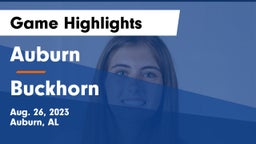 Auburn  vs Buckhorn Game Highlights - Aug. 26, 2023