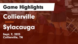 Collierville  vs Sylacauga   Game Highlights - Sept. 9, 2023