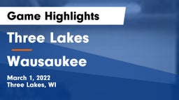 Three Lakes  vs Wausaukee  Game Highlights - March 1, 2022