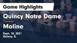 Quincy Notre Dame vs Moline Game Highlights - Sept. 18, 2021