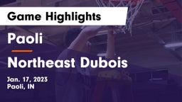 Paoli  vs Northeast Dubois  Game Highlights - Jan. 17, 2023