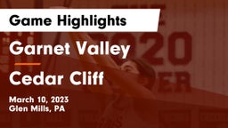 Garnet Valley  vs Cedar Cliff  Game Highlights - March 10, 2023