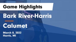 Bark River-Harris  vs Calumet  Game Highlights - March 8, 2022