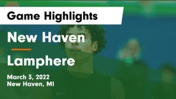 New Haven  vs Lamphere  Game Highlights - March 3, 2022