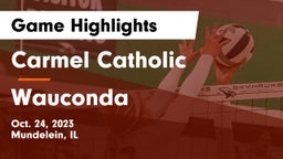 Carmel Catholic  vs Wauconda  Game Highlights - Oct. 24, 2023