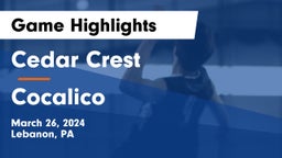 Cedar Crest  vs Cocalico  Game Highlights - March 26, 2024