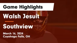 Walsh Jesuit  vs Southview  Game Highlights - March 16, 2024