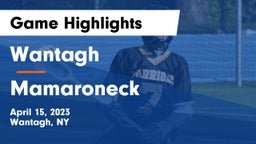 Wantagh  vs Mamaroneck  Game Highlights - April 15, 2023