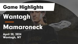 Wantagh  vs Mamaroneck  Game Highlights - April 20, 2024