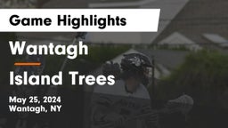 Wantagh  vs Island Trees  Game Highlights - May 25, 2024