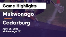 Mukwonago  vs Cedarburg  Game Highlights - April 25, 2023