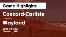 Concord-Carlisle  vs Wayland  Game Highlights - Sept. 28, 2022