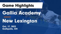 Gallia Academy vs New Lexington  Game Highlights - Oct. 17, 2022