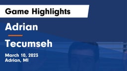 Adrian  vs Tecumseh  Game Highlights - March 10, 2023