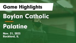 Boylan Catholic  vs Palatine  Game Highlights - Nov. 21, 2023