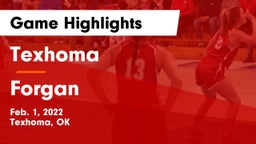 Texhoma  vs Forgan  Game Highlights - Feb. 1, 2022