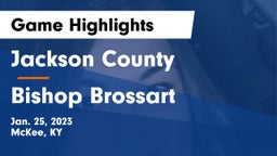 Jackson County  vs Bishop Brossart  Game Highlights - Jan. 25, 2023